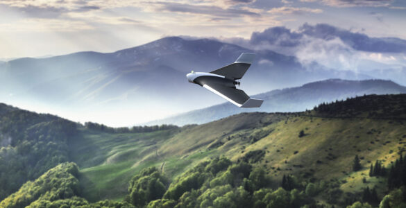 Parrot Drone