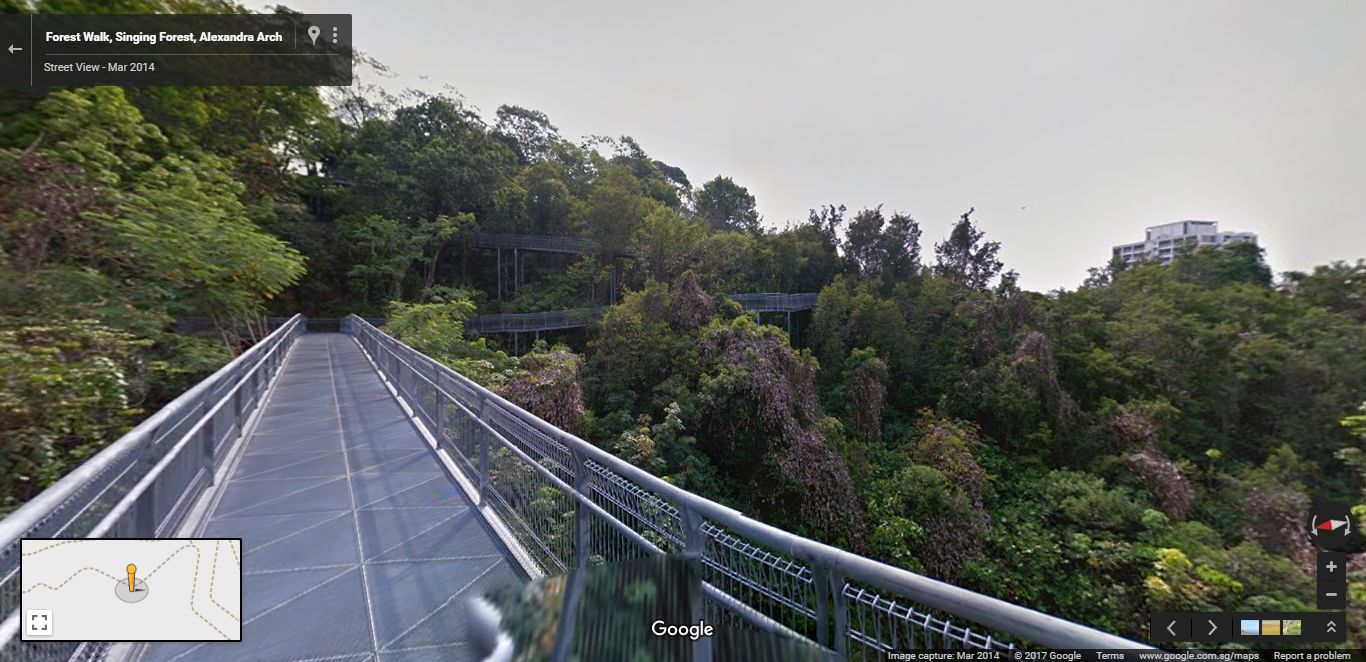 Google Street View imagery of Southern Ridge (Credit- Google)