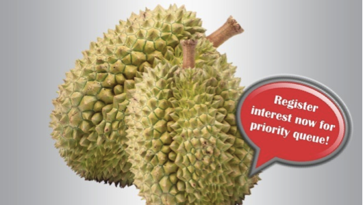 Audio House Member Free Durians 2019