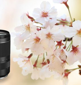 Canon RF24-240mm f4-6.3 IS USM