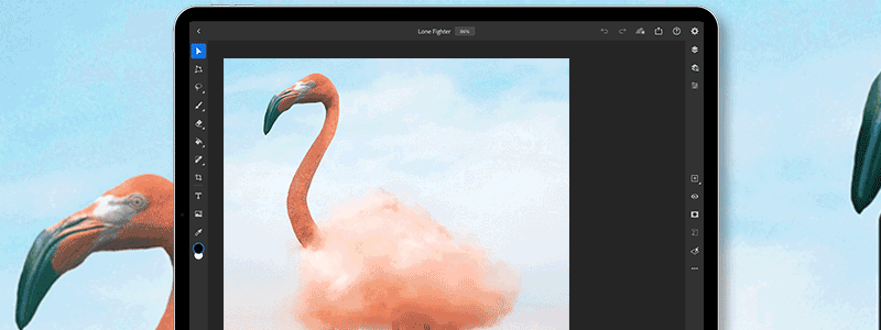 Adobe Photoshop Edit Image Size