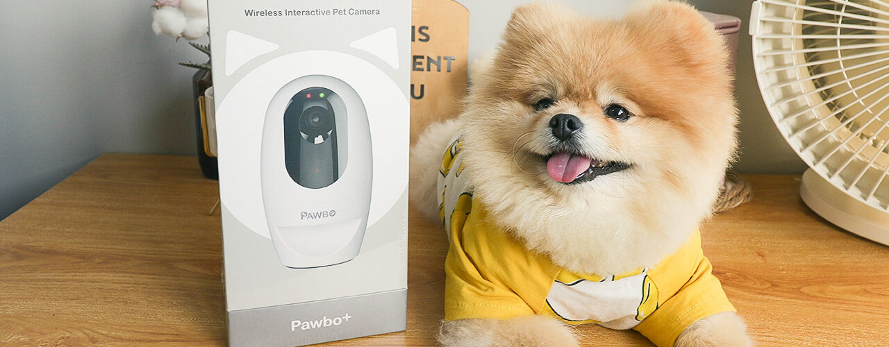 Pawbo⁺ Interactive Pet Camera